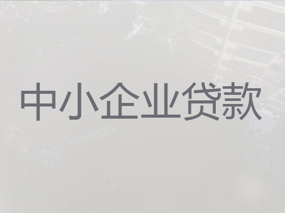 长兴企业税票贷款